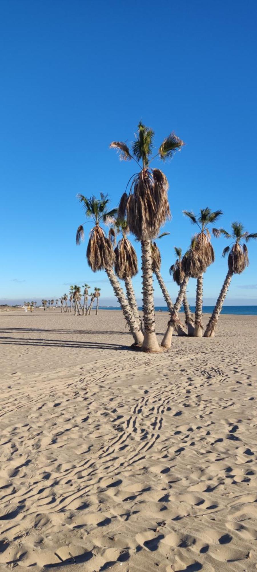 Balcon Del Mar Apartment Canet d'En Berenguer Ngoại thất bức ảnh